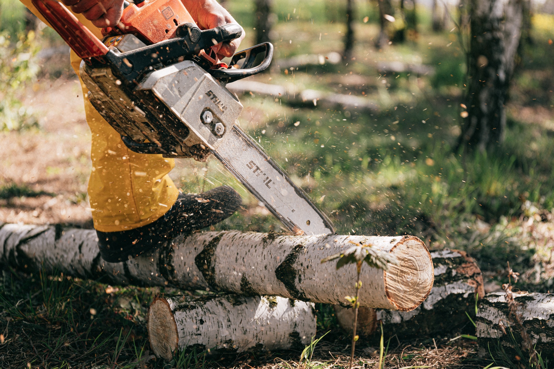 Never DIY A Tree Removal!